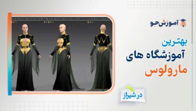 بهترین آموزشگاه های آموزش مارولوس در شیراز