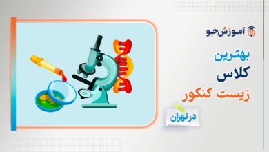 بهترین کلاس زیست کنکور در تهران + آموزش نکات تست زنی در درس زیست کنکور
